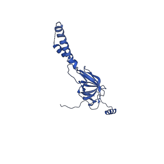 22081_6x6s_GY_v1-2
Cryo-EM Structure of the Helicobacter pylori OMC