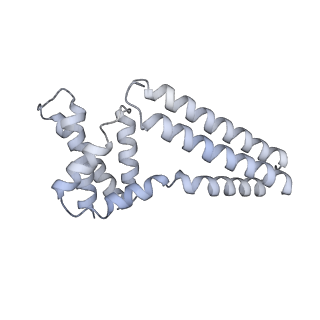 22081_6x6s_Gm_v1-1
Cryo-EM Structure of the Helicobacter pylori OMC