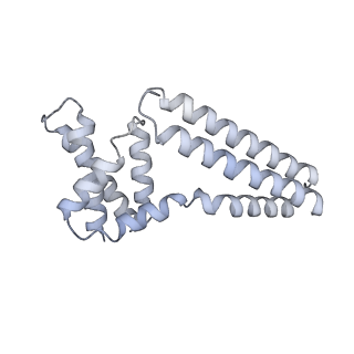 22081_6x6s_Gm_v1-2
Cryo-EM Structure of the Helicobacter pylori OMC