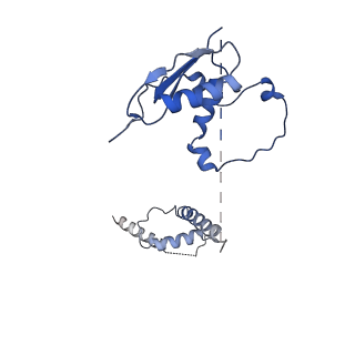 22081_6x6s_Gt_v1-1
Cryo-EM Structure of the Helicobacter pylori OMC