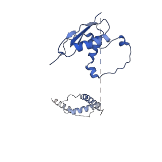 22081_6x6s_Gt_v1-2
Cryo-EM Structure of the Helicobacter pylori OMC