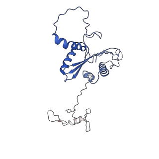 22081_6x6s_HA_v1-1
Cryo-EM Structure of the Helicobacter pylori OMC