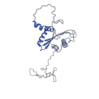 22081_6x6s_HA_v1-2
Cryo-EM Structure of the Helicobacter pylori OMC