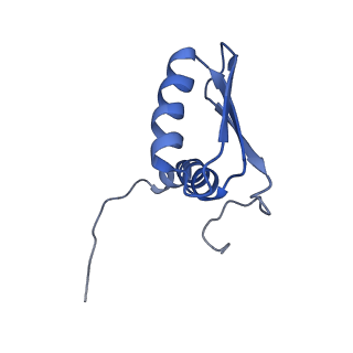 22081_6x6s_HB_v1-1
Cryo-EM Structure of the Helicobacter pylori OMC
