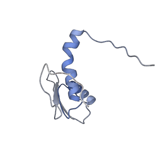 22081_6x6s_HC_v1-1
Cryo-EM Structure of the Helicobacter pylori OMC