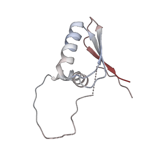 22081_6x6s_HD_v1-1
Cryo-EM Structure of the Helicobacter pylori OMC