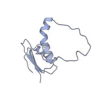 22081_6x6s_HE_v1-1
Cryo-EM Structure of the Helicobacter pylori OMC
