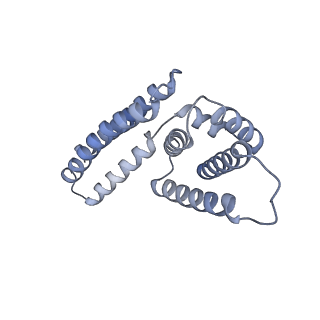 22081_6x6s_HM_v1-1
Cryo-EM Structure of the Helicobacter pylori OMC