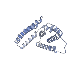 22081_6x6s_HM_v1-2
Cryo-EM Structure of the Helicobacter pylori OMC