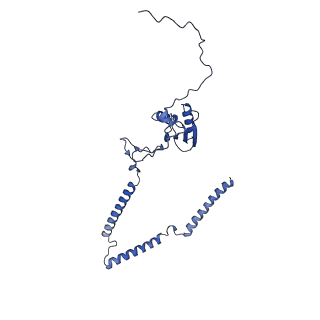 22081_6x6s_HT_v1-1
Cryo-EM Structure of the Helicobacter pylori OMC