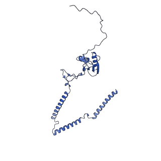 22081_6x6s_HT_v1-2
Cryo-EM Structure of the Helicobacter pylori OMC