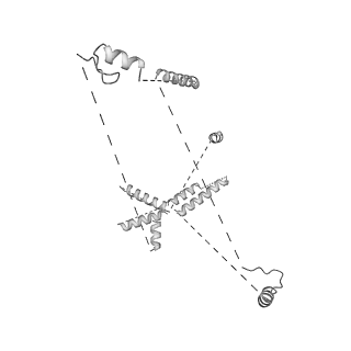 22081_6x6s_HU_v1-2
Cryo-EM Structure of the Helicobacter pylori OMC