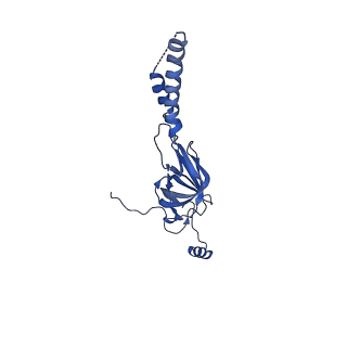 22081_6x6s_HY_v1-1
Cryo-EM Structure of the Helicobacter pylori OMC