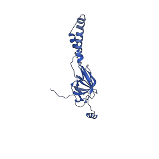 22081_6x6s_HY_v1-2
Cryo-EM Structure of the Helicobacter pylori OMC