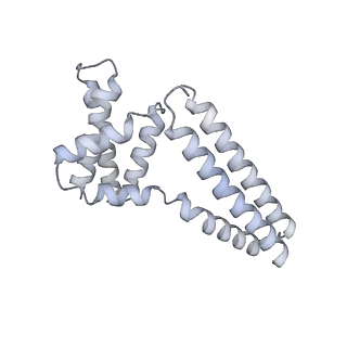 22081_6x6s_Hm_v1-1
Cryo-EM Structure of the Helicobacter pylori OMC