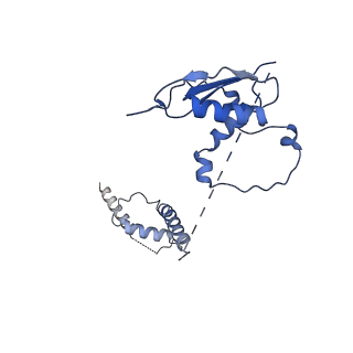 22081_6x6s_Ht_v1-1
Cryo-EM Structure of the Helicobacter pylori OMC