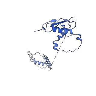 22081_6x6s_Ht_v1-2
Cryo-EM Structure of the Helicobacter pylori OMC