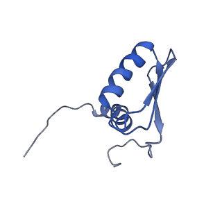 22081_6x6s_IB_v1-1
Cryo-EM Structure of the Helicobacter pylori OMC