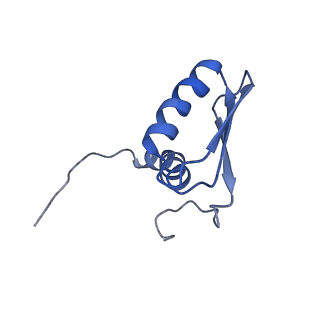 22081_6x6s_IB_v1-2
Cryo-EM Structure of the Helicobacter pylori OMC