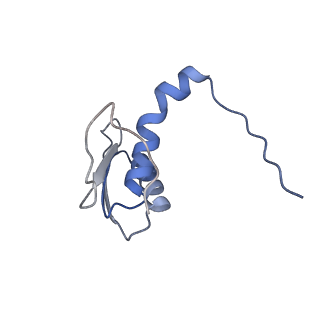 22081_6x6s_IC_v1-1
Cryo-EM Structure of the Helicobacter pylori OMC