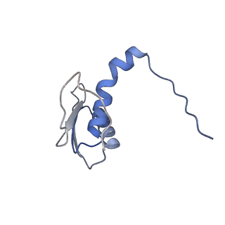 22081_6x6s_IC_v1-2
Cryo-EM Structure of the Helicobacter pylori OMC