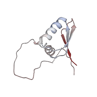 22081_6x6s_ID_v1-1
Cryo-EM Structure of the Helicobacter pylori OMC