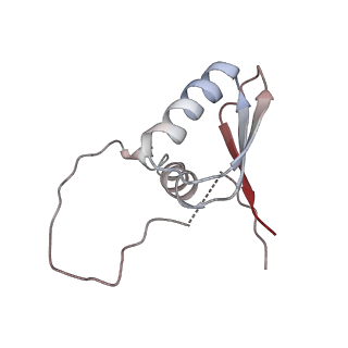 22081_6x6s_ID_v1-2
Cryo-EM Structure of the Helicobacter pylori OMC