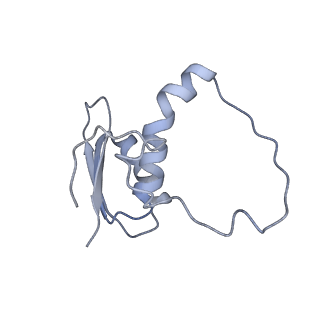 22081_6x6s_IE_v1-1
Cryo-EM Structure of the Helicobacter pylori OMC