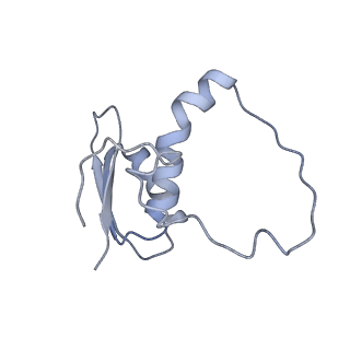 22081_6x6s_IE_v1-2
Cryo-EM Structure of the Helicobacter pylori OMC