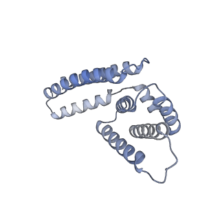 22081_6x6s_IM_v1-1
Cryo-EM Structure of the Helicobacter pylori OMC
