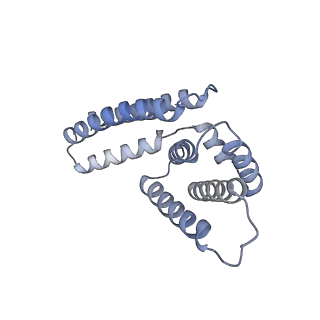 22081_6x6s_IM_v1-2
Cryo-EM Structure of the Helicobacter pylori OMC