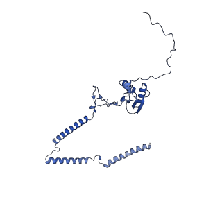22081_6x6s_IT_v1-1
Cryo-EM Structure of the Helicobacter pylori OMC