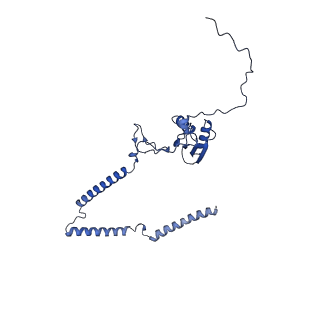 22081_6x6s_IT_v1-2
Cryo-EM Structure of the Helicobacter pylori OMC