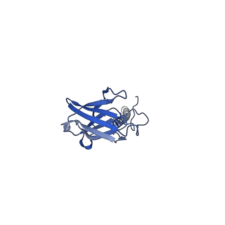 22081_6x6s_IX_v1-2
Cryo-EM Structure of the Helicobacter pylori OMC