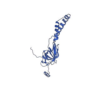 22081_6x6s_IY_v1-1
Cryo-EM Structure of the Helicobacter pylori OMC