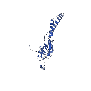 22081_6x6s_IY_v1-2
Cryo-EM Structure of the Helicobacter pylori OMC