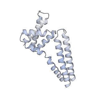 22081_6x6s_Im_v1-1
Cryo-EM Structure of the Helicobacter pylori OMC
