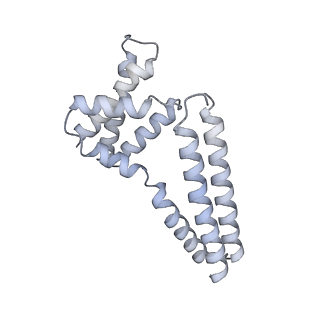 22081_6x6s_Im_v1-2
Cryo-EM Structure of the Helicobacter pylori OMC