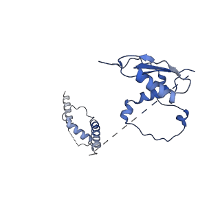 22081_6x6s_It_v1-1
Cryo-EM Structure of the Helicobacter pylori OMC