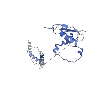 22081_6x6s_It_v1-2
Cryo-EM Structure of the Helicobacter pylori OMC