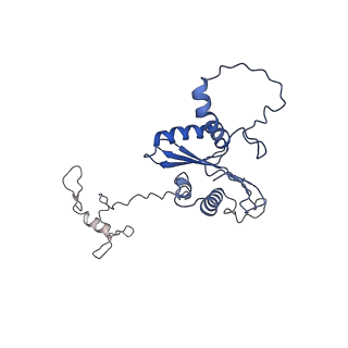 22081_6x6s_JA_v1-1
Cryo-EM Structure of the Helicobacter pylori OMC