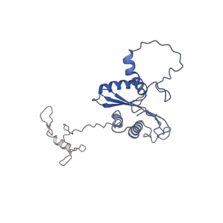 22081_6x6s_JA_v1-2
Cryo-EM Structure of the Helicobacter pylori OMC