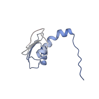 22081_6x6s_JC_v1-1
Cryo-EM Structure of the Helicobacter pylori OMC