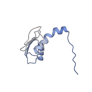 22081_6x6s_JC_v1-2
Cryo-EM Structure of the Helicobacter pylori OMC