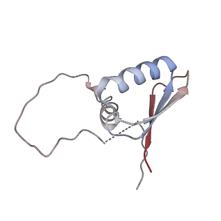 22081_6x6s_JD_v1-1
Cryo-EM Structure of the Helicobacter pylori OMC
