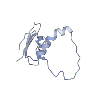 22081_6x6s_JE_v1-1
Cryo-EM Structure of the Helicobacter pylori OMC