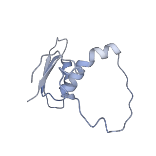 22081_6x6s_JE_v1-2
Cryo-EM Structure of the Helicobacter pylori OMC