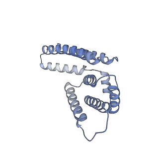 22081_6x6s_JM_v1-1
Cryo-EM Structure of the Helicobacter pylori OMC