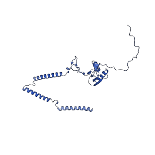 22081_6x6s_JT_v1-1
Cryo-EM Structure of the Helicobacter pylori OMC