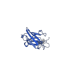 22081_6x6s_JX_v1-1
Cryo-EM Structure of the Helicobacter pylori OMC